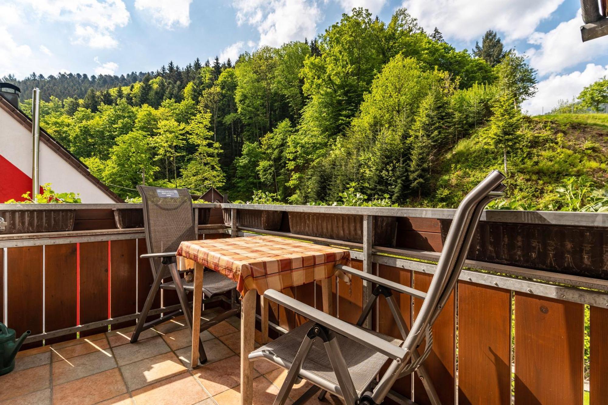 Gaestehaus Gerda Бад-Петерсталь-Грисбах Экстерьер фото